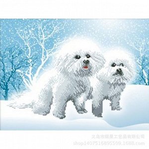 Алмазная вышивка "Снежные собаки": can3442 (40x30)