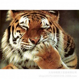 Алмазная вышивка "Веселый тигр": can3450 (30x40)