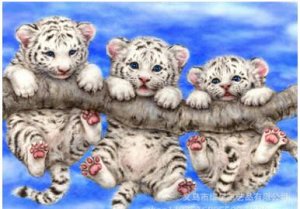 Алмазная вышивка "Тигрята на ветке": can3190 (40x30)