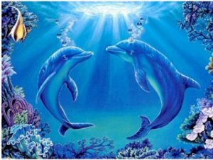 Алмазная вышивка "Пара дельфинов": xing3008816 (40x30)