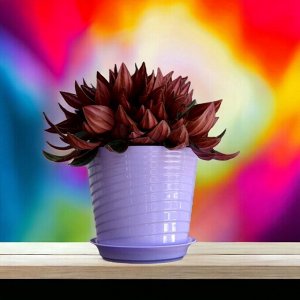 Фиалочница (цветочный горшок) "Верона" с поддоном, D11, 0,75 л, цвет лаванда