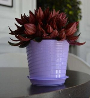 Фиалочница (цветочный горшок) "Верона" с поддоном, D11, 0,75 л, цвет лаванда