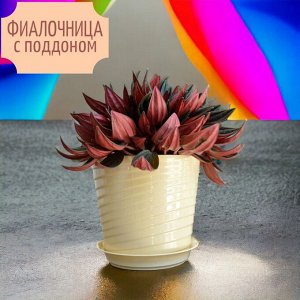 Фиалочница (цветочный горшок) "Верона" с поддоном, D11, 0,75 л, цвет крем