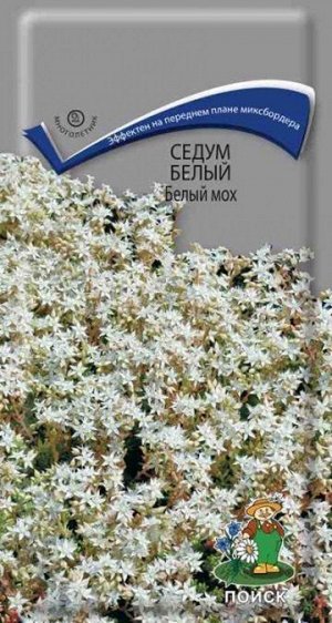 Поиск / Седум Белый Мох (Код: 15189)