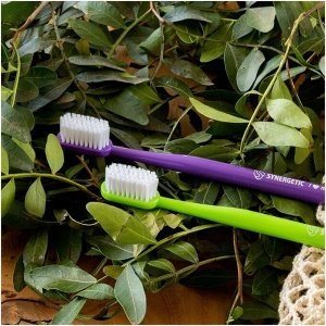 Зубная щетка для взрослых SYNERGETIC Eco dental care, medium, 2 шт. (фиолетовая, зеленая)