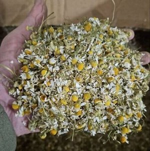 Ромашка аптечная цветок сушеная, Алтай 100гр