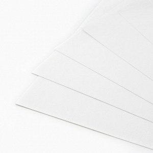 Картон белый немелованный односторонний А4 8 л 200 г/м² в папке «Буки Бяки»