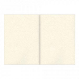 Альбом для эскизов (скетчбук), крем.бумага, А4, 210х297мм, 1