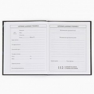 Дневник школьный 1-4 класса, в твердой обложке, 48 л «Бабочки»