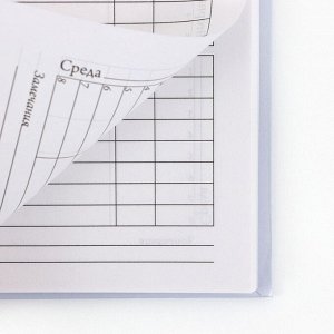 Дневник школьный 1-4 класса, в твердой обложке, 48 л «Котики»