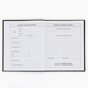 Дневник школьный 1-4 класса, в твердой обложке, 48 л «Аниме комикс»