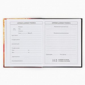 Дневник школьный 1-4 класса, в твердой обложке, 48 л «Футбольный мяч»