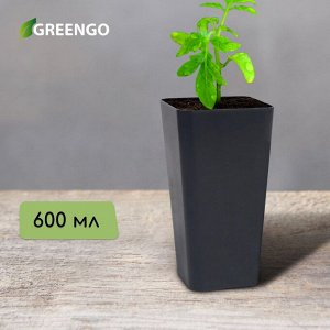 Greengo Горшок для рассады, 600 мл, 8,5 * 5 * 14,5 см, цвет зелёный, 1 шт
