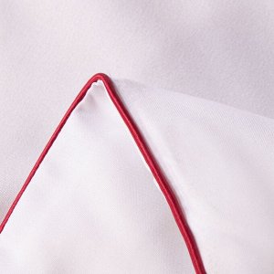 Одеяло Soft Moon Всесезонное SM001 красный кант 180*215 см