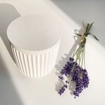 Шкатулка Минимализм mini