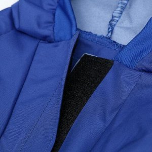 Комбинезон для животных, без подклада, L (ДС 28-30, ОШ 32, ОГ 36-40 см), синий
