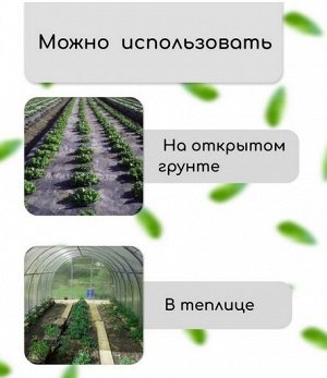 Упаковка Агротекс Чёрный Перфорированый М-80 Чёрный шир 1,6м/длина 10м