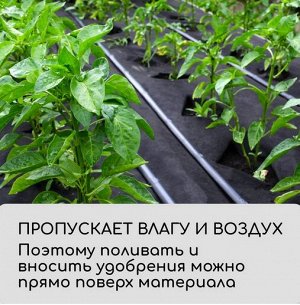 Упаковка Агротекс Чёрный Перфорированый М-80 Чёрный шир 1,6м/длина 10м