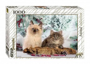 Пазлы 1000 Кошки