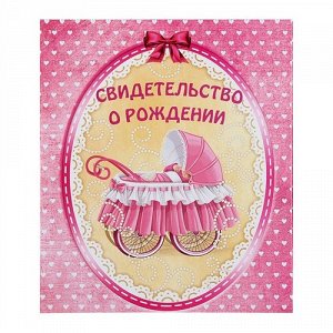 201277--Папка под свидетельство о рождении девочки "Маленькое чудо" 21,5*26 см