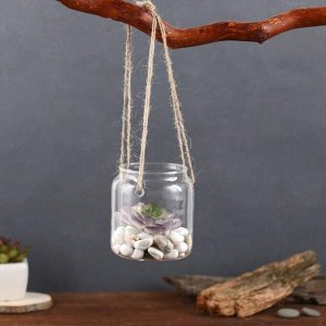 Флорариум «Баночка», с верёвкой, 8x8x9 см, стекло, прозрачный