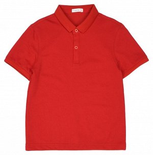 Рубашка-поло MS2116S-4(38-48) k