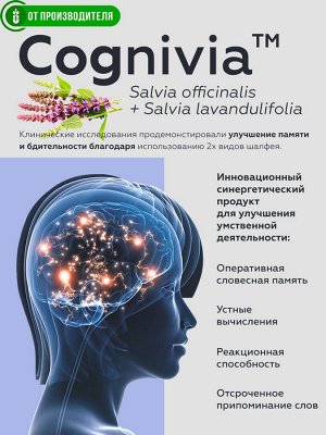 Сибирская клетчатка Напиток "Эрудит" (для памяти), 2гх14саше