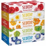 Салфетки Crecia &quot;Scottie Flowerbox&quot; двухслойные 160шт*5кор