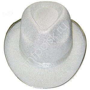 WB Шляпа серебряная