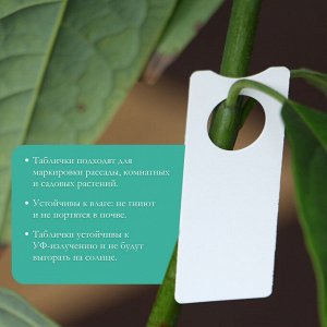 Бирки садовые для маркировки, 5 × 2 см, набор 20 шт., пластик, МИКС, Greengo