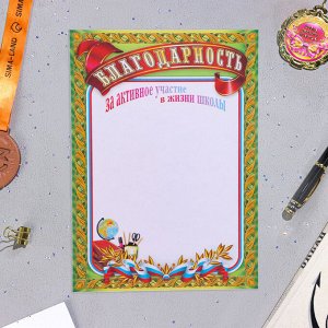 Папка «Портфолио ученика 5 - 9 класса», 8 грамот, А4