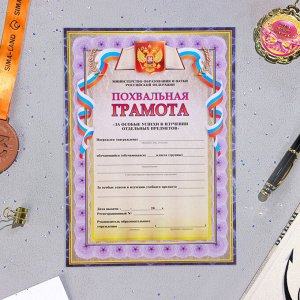 Папка «Портфолио старшеклассника», 8 грамот, А4