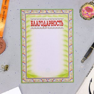 Папка «Портфолио старшеклассника», 8 грамот, А4