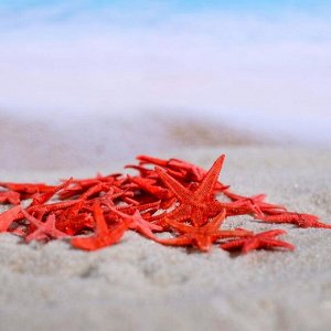 Пижон Аква Набор натуральных морских звезд, 1,5-2 см, 20 шт, красный