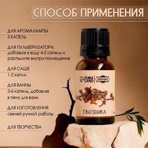 Эфирное масло «Гвоздика» репеллент 15 мл Добропаровъ