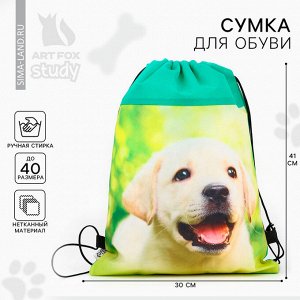 Мешок для обуви «Милый щенок» (нетканый материал) 41x30 см