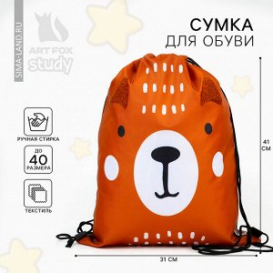 Мешок для обуви, Teddy Bear, (с дополнительными элементами) 41x31 см