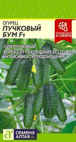 Огурец Пучковый Бум F1/Сем Алт/цп 5 шт. НОВИНКА!