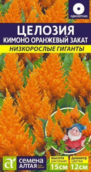 Цветы Целозия Перистая Кимоно Оранжевый закат/Сем Алт/цп 10 шт. Низкорослые гиганты