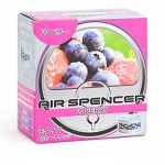 Ароматизатор меловой SPIRIT REFILL - W BERRY