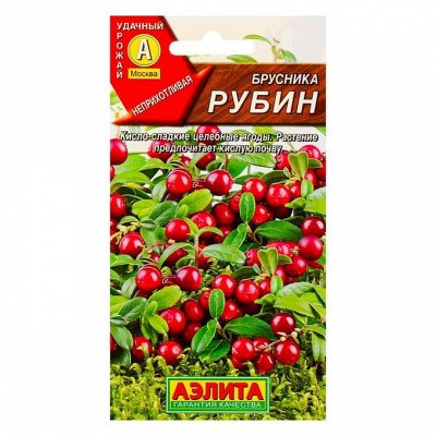 Огородная от Greengo — удобрения, семена, полив, уход
