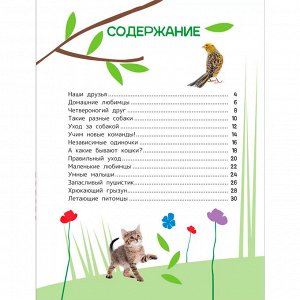 Книга 978-5-353-10724-8 Домашние любимцы. Энциклопедия для первого чтения с крупными буквами