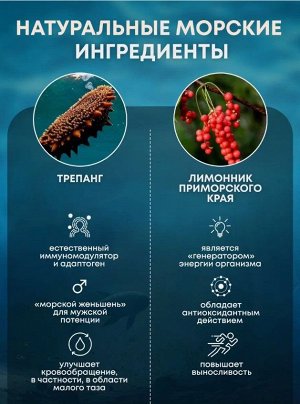 Доктор Море Сироп лимонника с трепангом (100 мл)