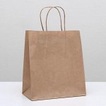 Пакет крафт без печати, круглая ручка 22х12х28 см
