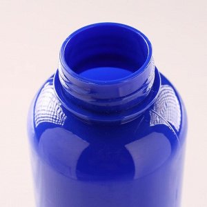 Бутылка для воды, 650 мл, с карабином, 22x7 см, синяя