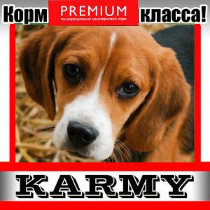 🐶KARMY / ZооRING - для счастливой жизни питомца!