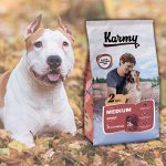 KARMY MEDIUM ADULT (телятина), 15кг