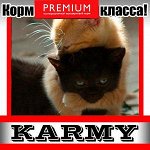 KITTEN для котят, беременных и кормящих