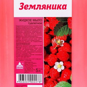 Мыло жидкое туалетное Ника «Земляника», канистра, 5 л
