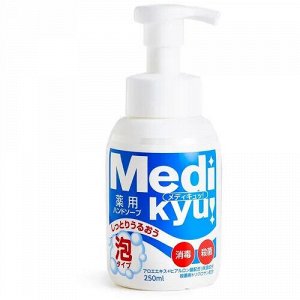 Мыло-пенка "Animo Hand Soap" для рук c антибактериальным эффектом (аромат лайма) 250 мл / 24